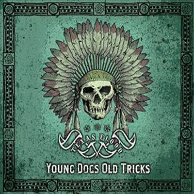 Texas Flood - Young Dogs Old Tricks (CD)