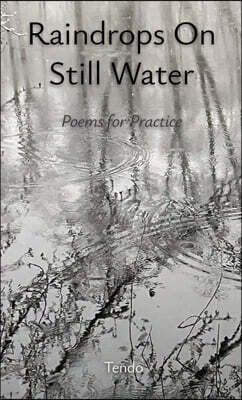 Raindrops on Still Water