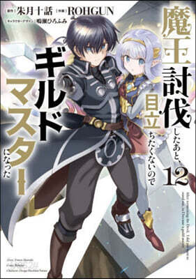 魔王討伐したあと,目立ちたくないのでギルドマスタ-になった 12