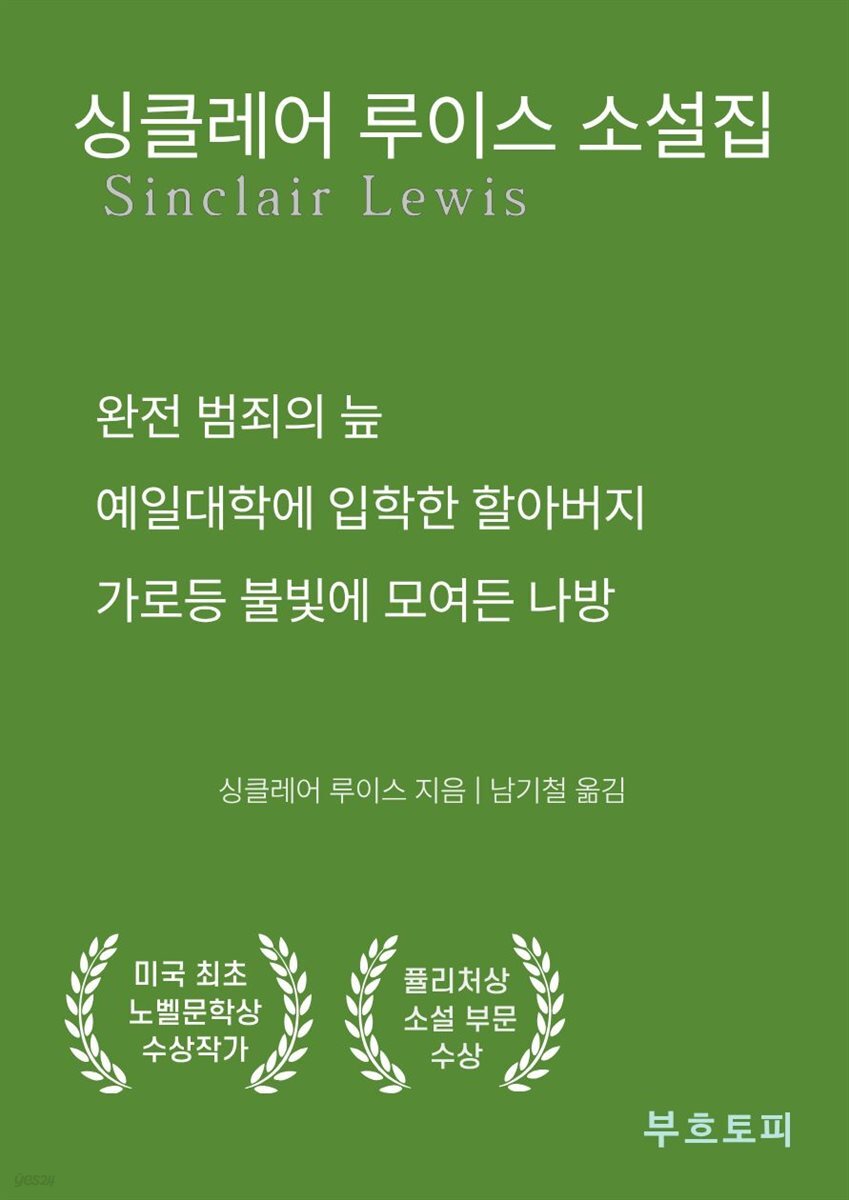 싱클레어 루이스 소설집