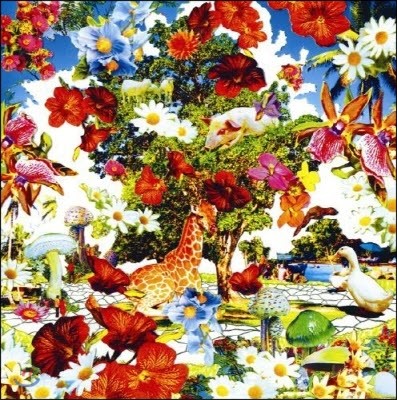 Orange Pekoe / Wild Flowers (Ϻ/̰/CD+DVD/bvcs28024)