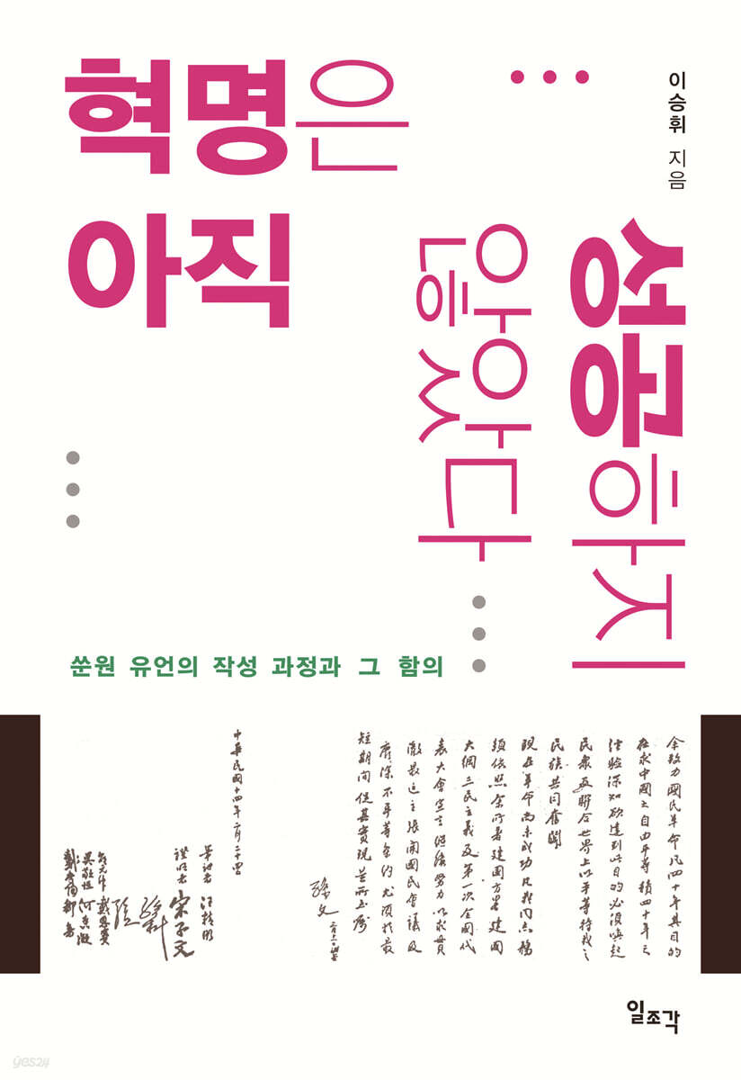 혁명은 아직 성공하지 않았다