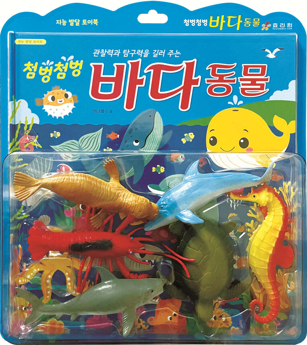 첨벙첨벙 바다 동물