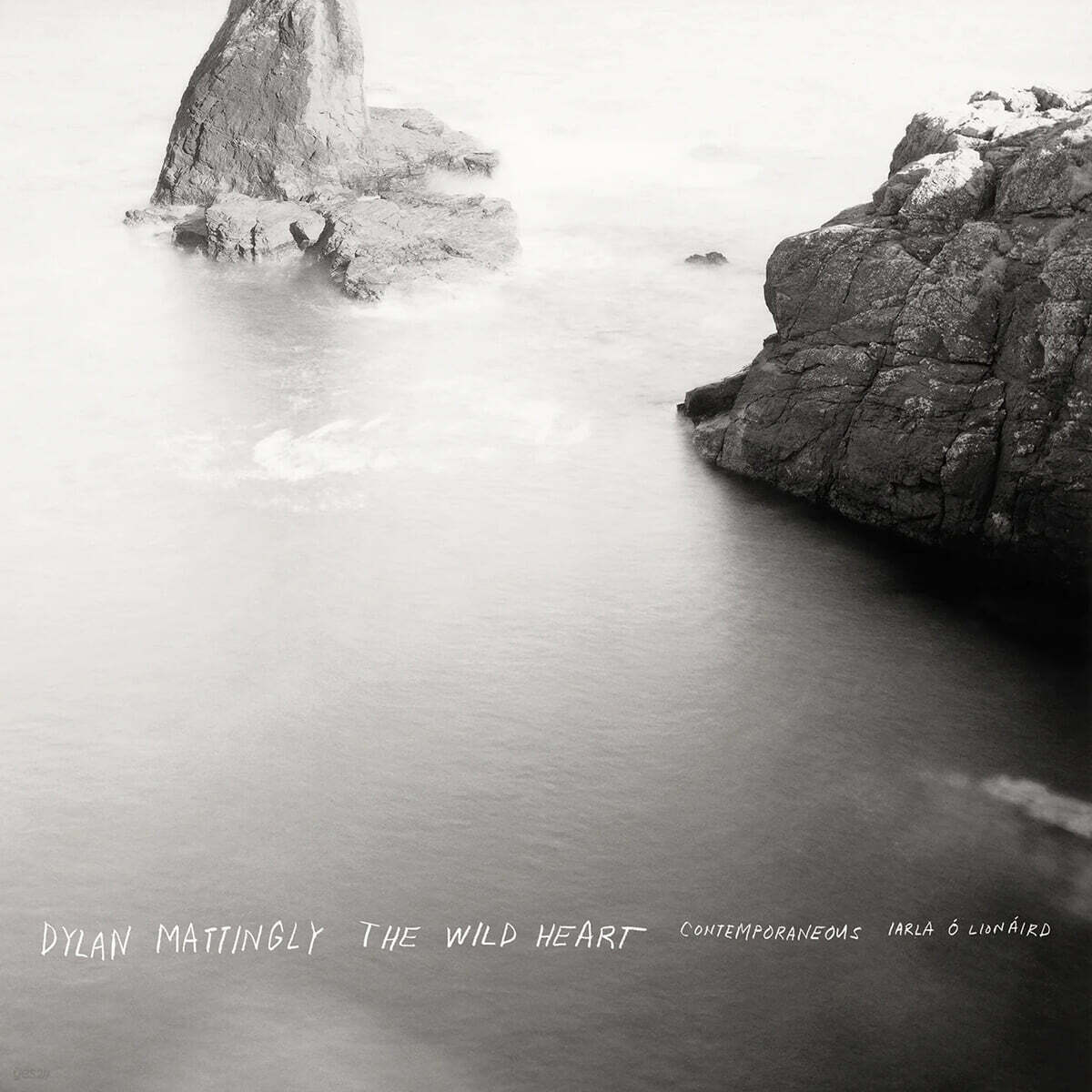 David Bloom 딜런 매팅리: 와일드 허트 (Dylan Mattingly: The Wild Heart) [LP]