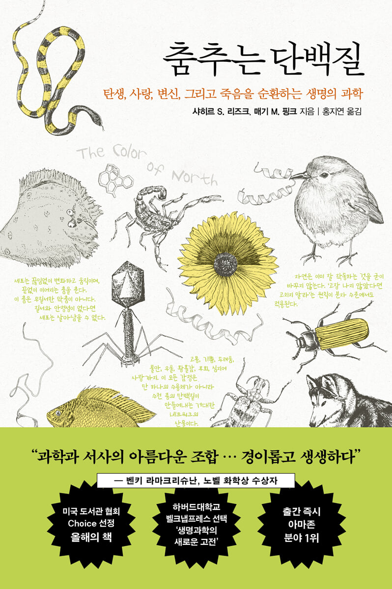 춤추는 단백질