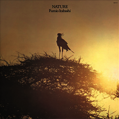 Itabashi Fumio,이타바시 후미오 — Nature 앨범 커버
