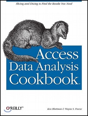 Access Data Analysis Cookbook: Slicing and Dicing to Find the Results You Need
