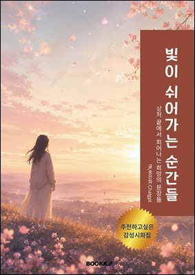 빛이 쉬어가는 순간들