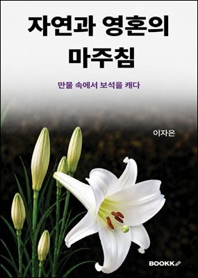 자연과 영혼의 마주침