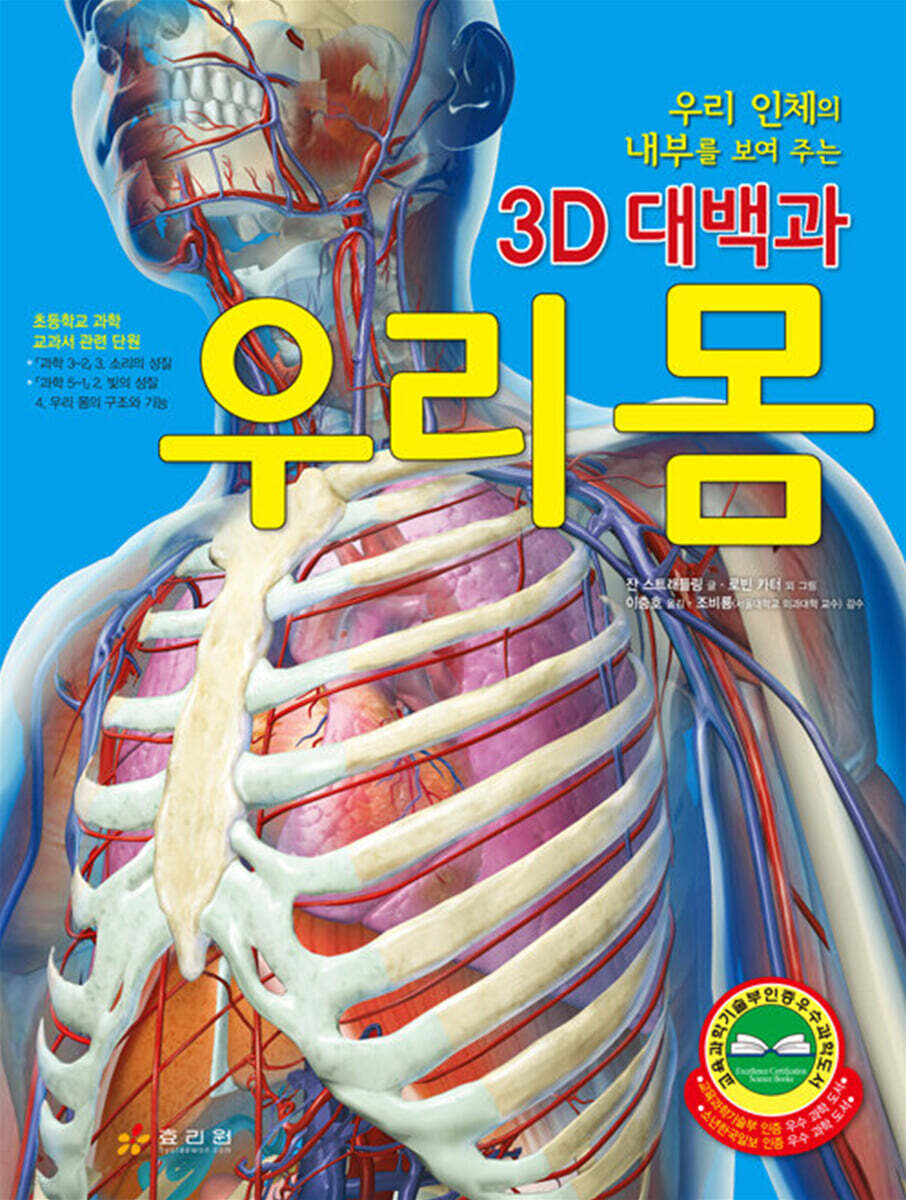우리 몸