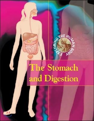 The Stomach and Digestion