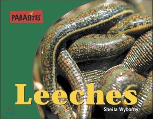 Leeches