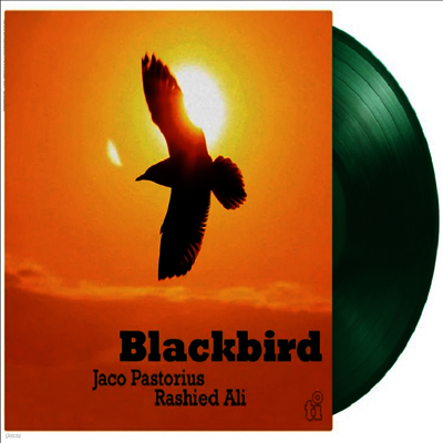 Jaco Pastorius & Rashied Ali — Blackbird 앨범 커버