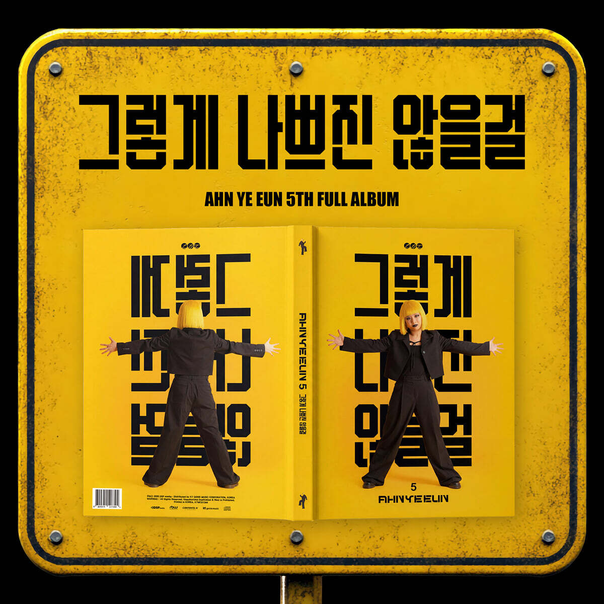 안예은 - 5집 : 그렇게 나쁘진 않을걸