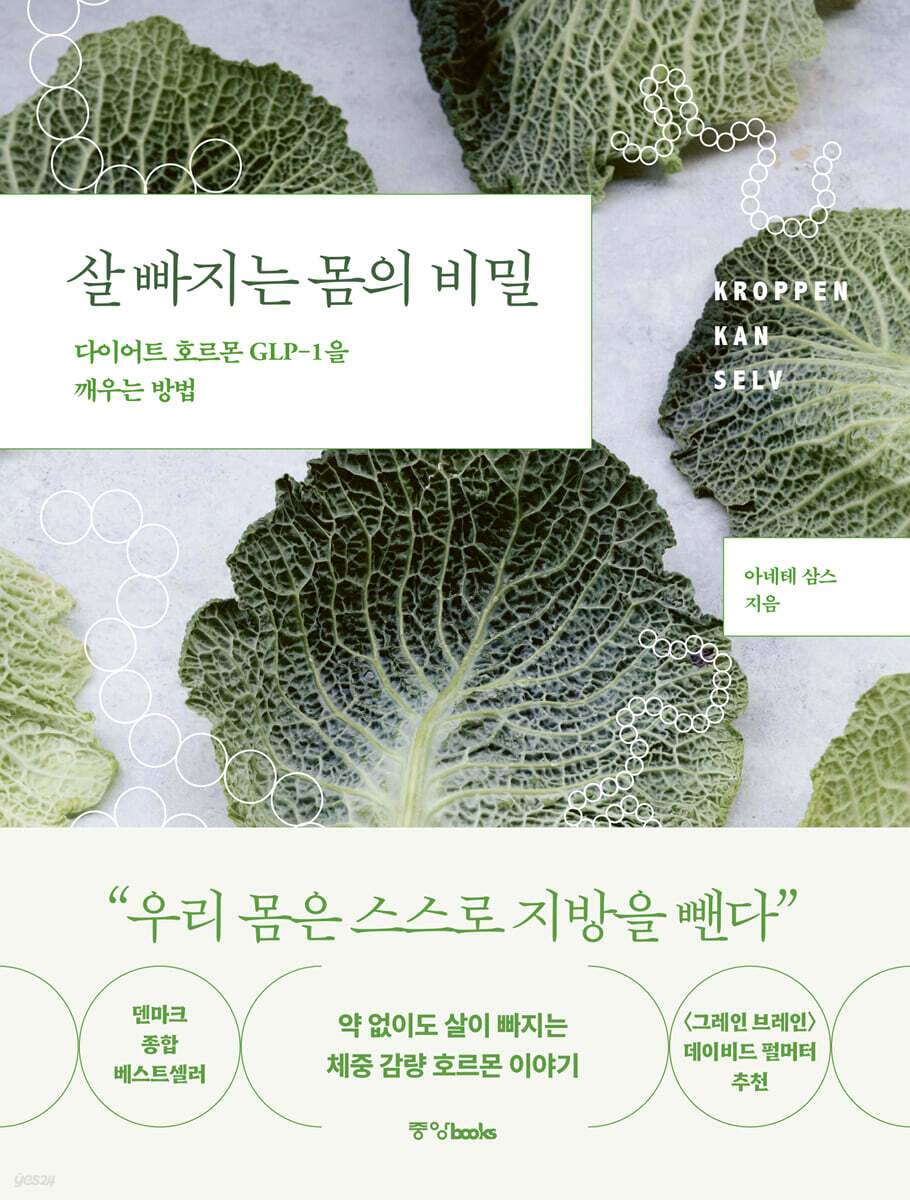 살 빠지는 몸의 비밀