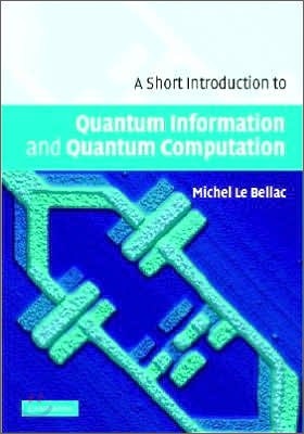 A Short Introduction to Quantum Information and Quantum Computation