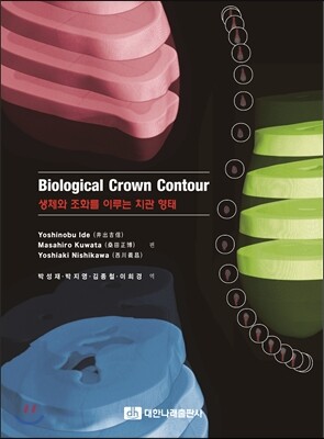 대한나래출판사  Biological Crown Contour 생체와 조화를 이루는 치관 형태