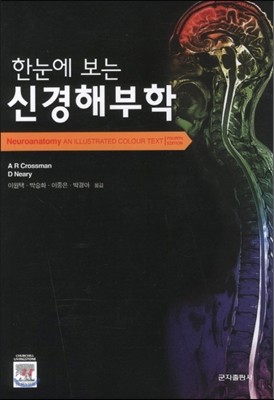 한눈에 보는 신경해부학