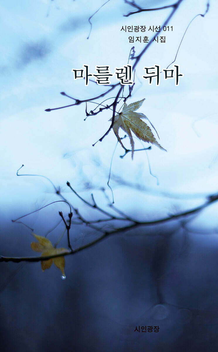 마를렌 뒤마