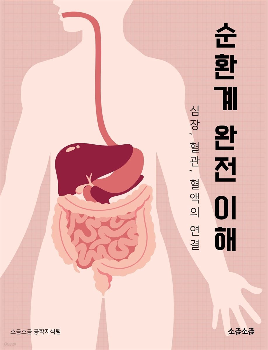 순환계 완전 이해: 심장, 혈관, 혈액의 연결