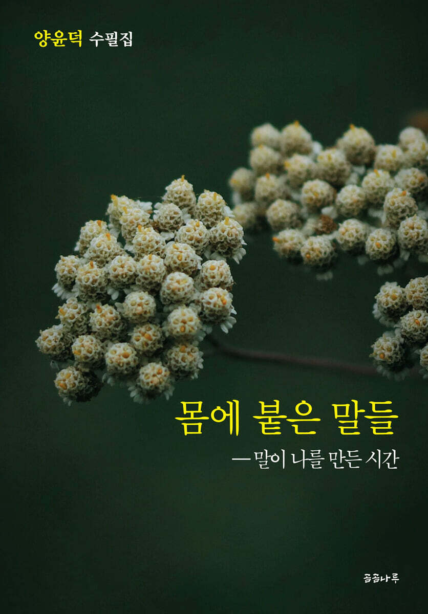 몸에 붙은 말들