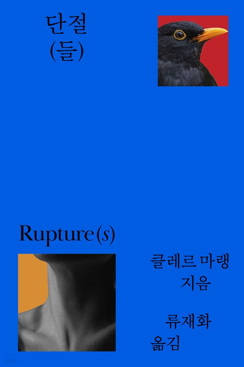 단절(들)
