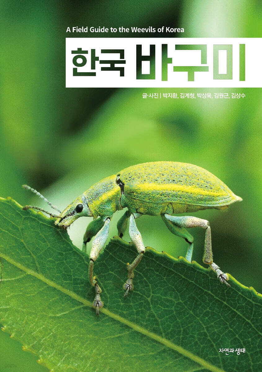 한국 바구미
