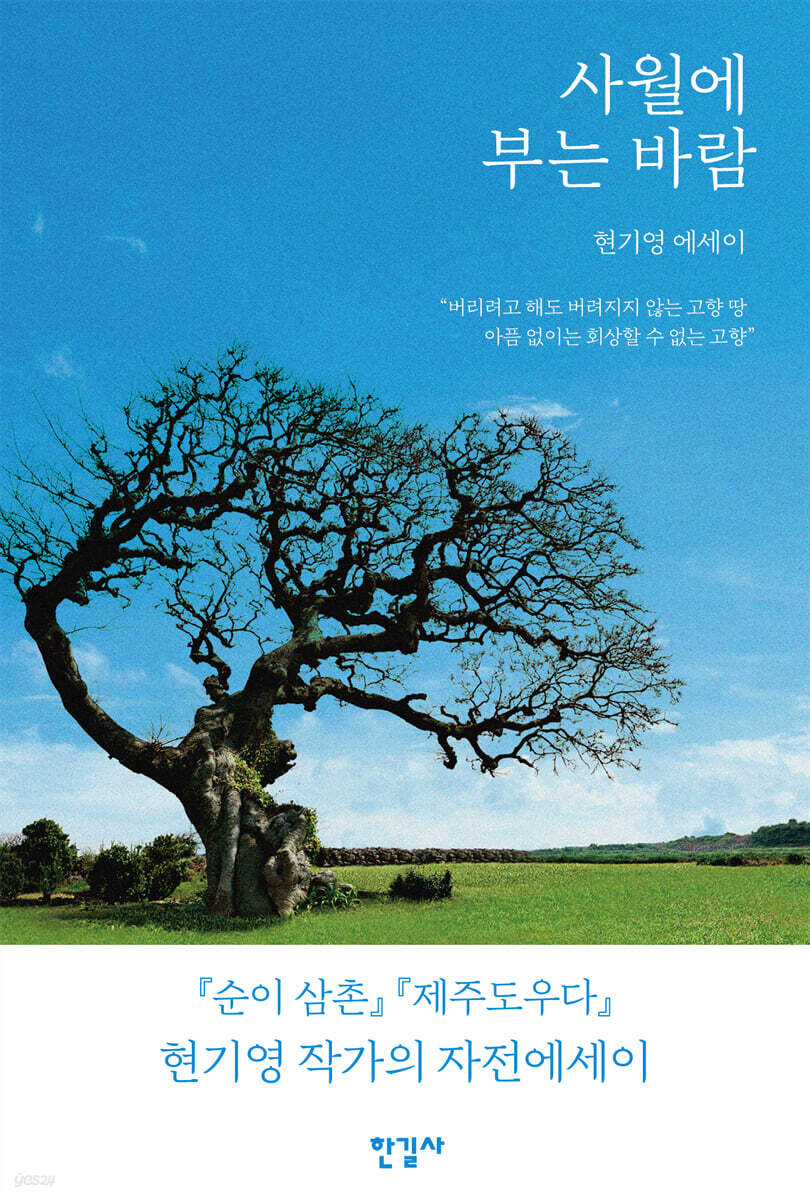 사월에 부는 바람