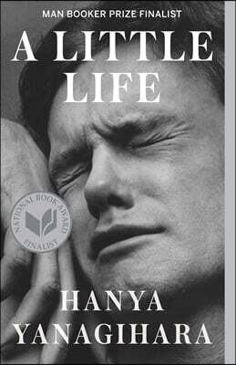 Summary of A Little Life: by Hanya Yanagihara Includes Analysis by  Instaread Summaries, eBook