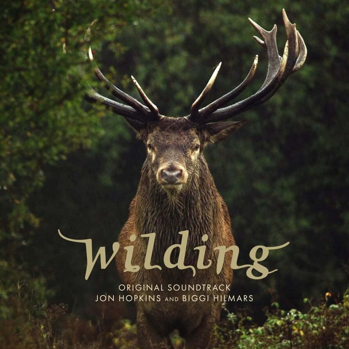 와일딩 다큐멘터리 영화음악 (Biggi Hilmars Wilding - Original Soundtrack)