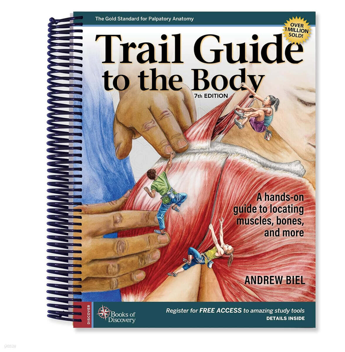 Trail Guide to the Body 7/E: A Hands-on Guide to Locating Muscles, Bones, and More