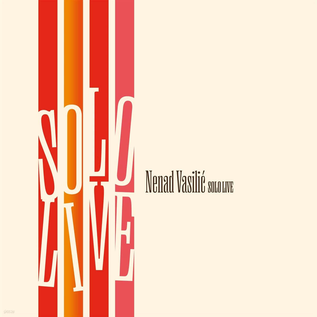 Nenad Vasilic (네나드 바실리치) - Solo Live