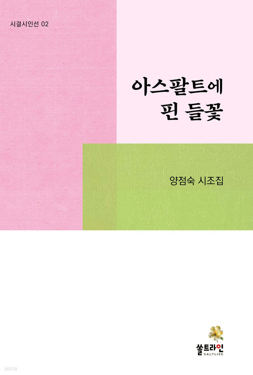 아스팔트에 핀 들꽃