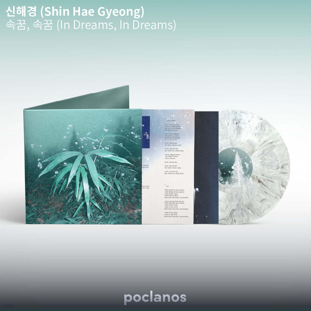 신해경 - 속꿈, 속꿈 [스페셜 마블 컬러 LP]