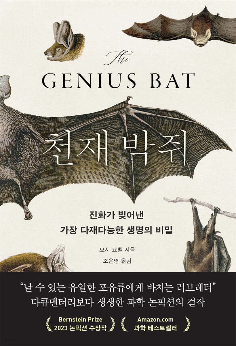 천재 박쥐
