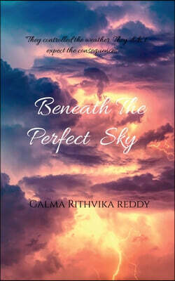 Notion Press Media Pvt. Ltd Beneath The Perfect Sky