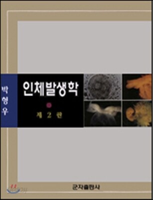 인체발생학
