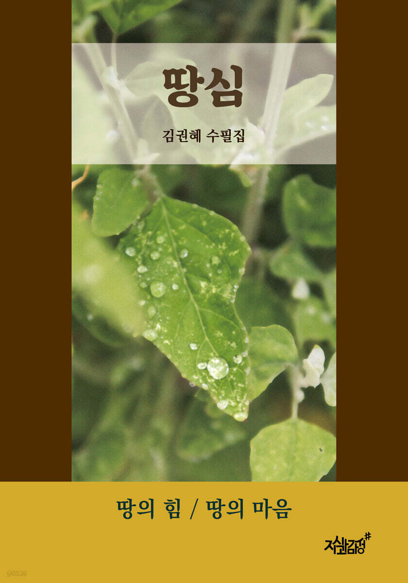 땅심