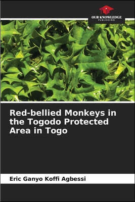 Red-bellied Monkeys in the Togodo Protected Area in Togo