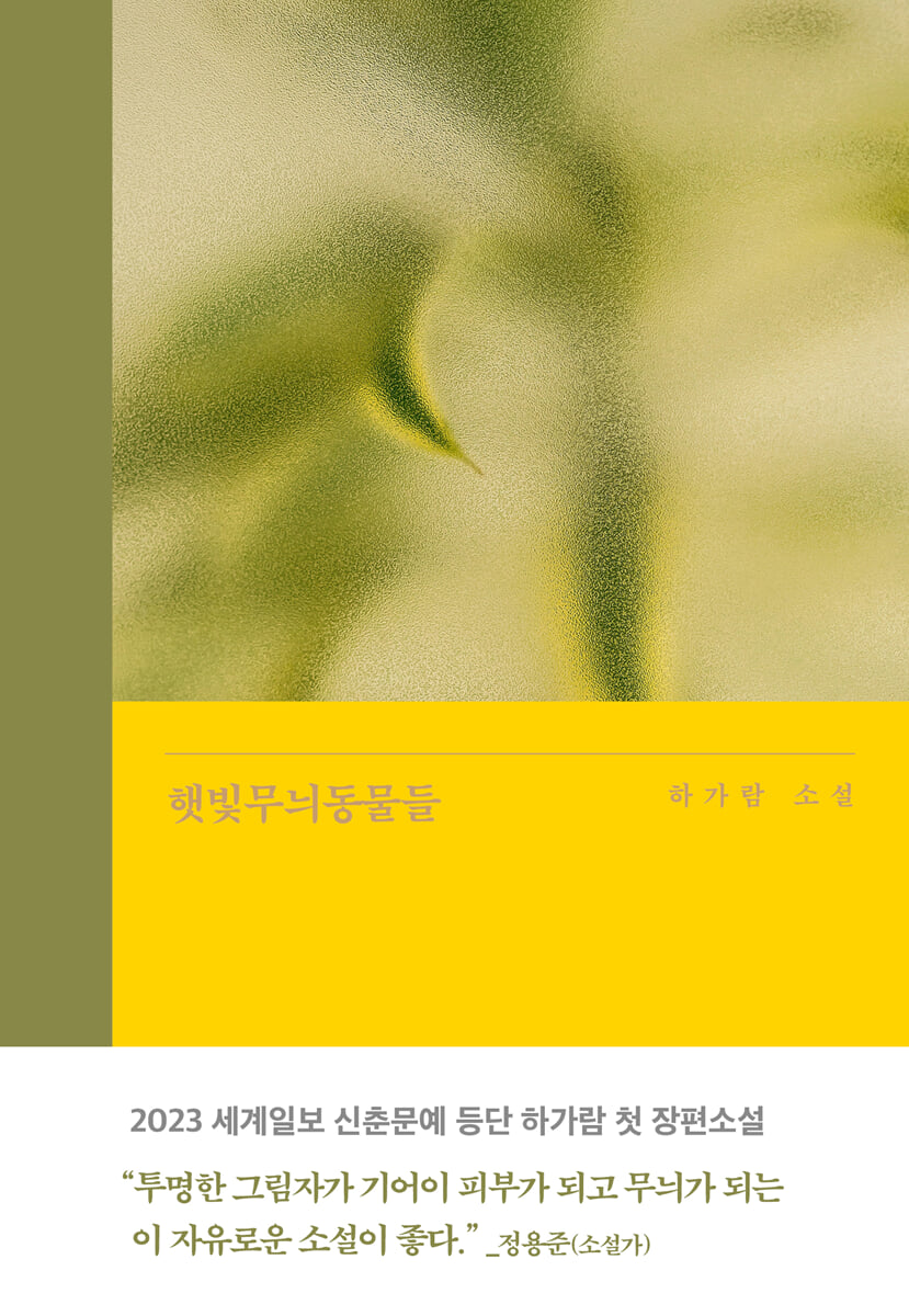 햇빛무늬동물들