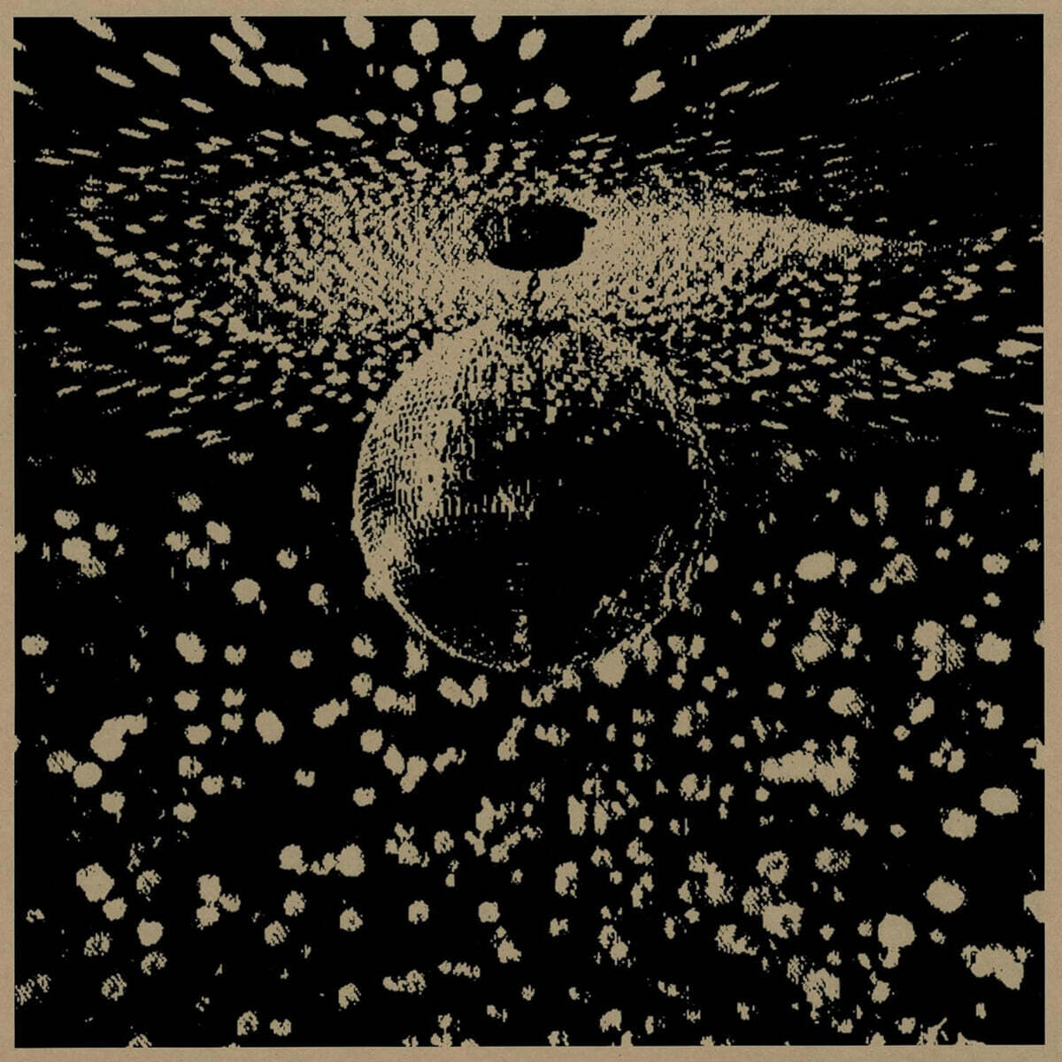 Neil Young (닐 영) - Mirror Ball [2LP]