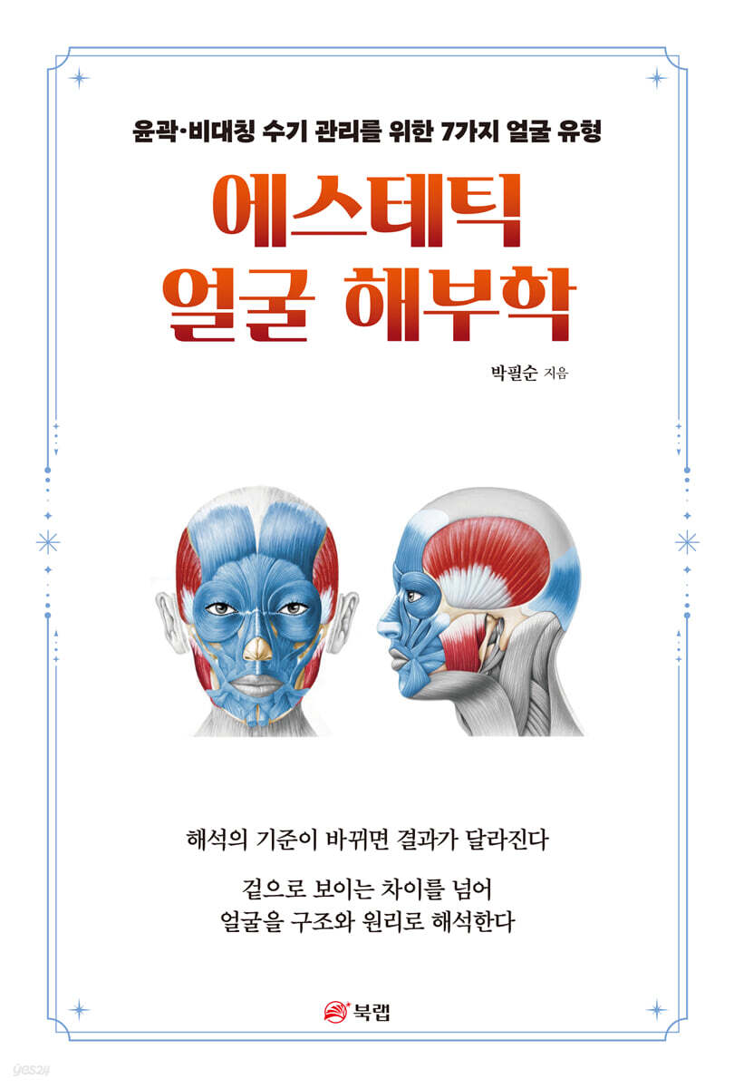 에스테틱 얼굴 해부학