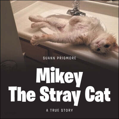 Mikey the Stray Cat