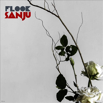 Flook — Sanju 앨범 커버