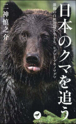 日本のクマを追う