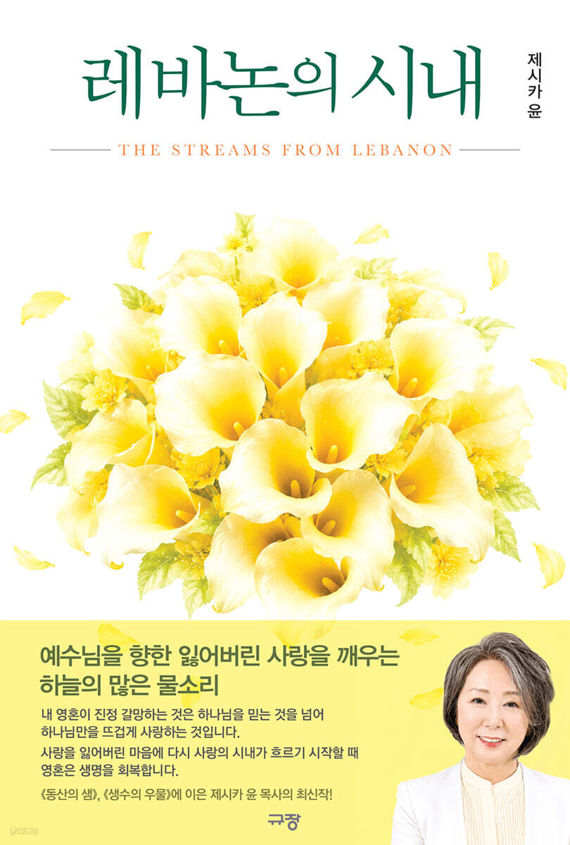 레바논의 시내