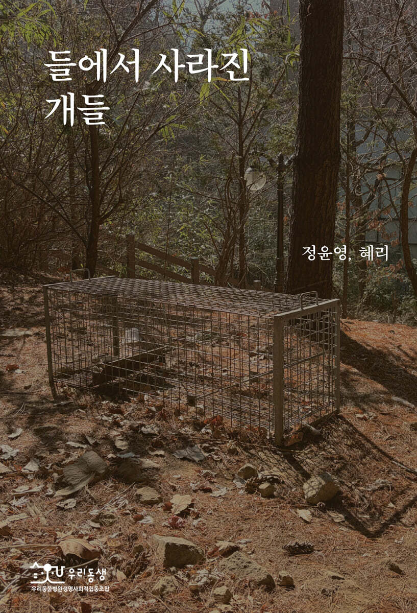 들에서 사라진 개들