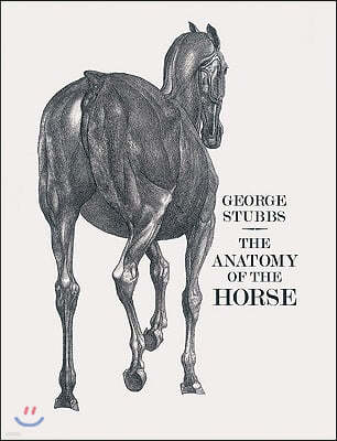 The Anatomy of the Horse