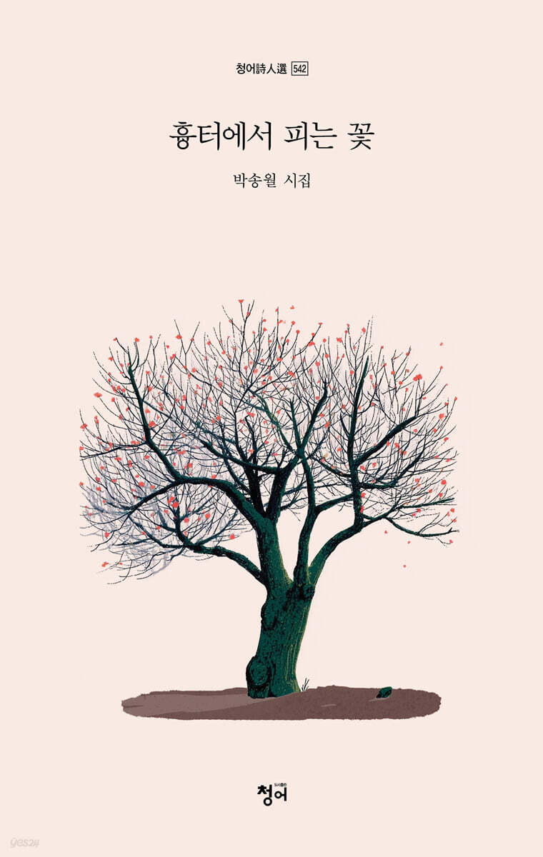 흉터에서 피는 꽃