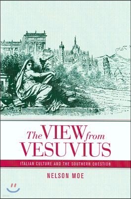 The View from Vesuvius: Italian Culture and the Southern Question Volume 46